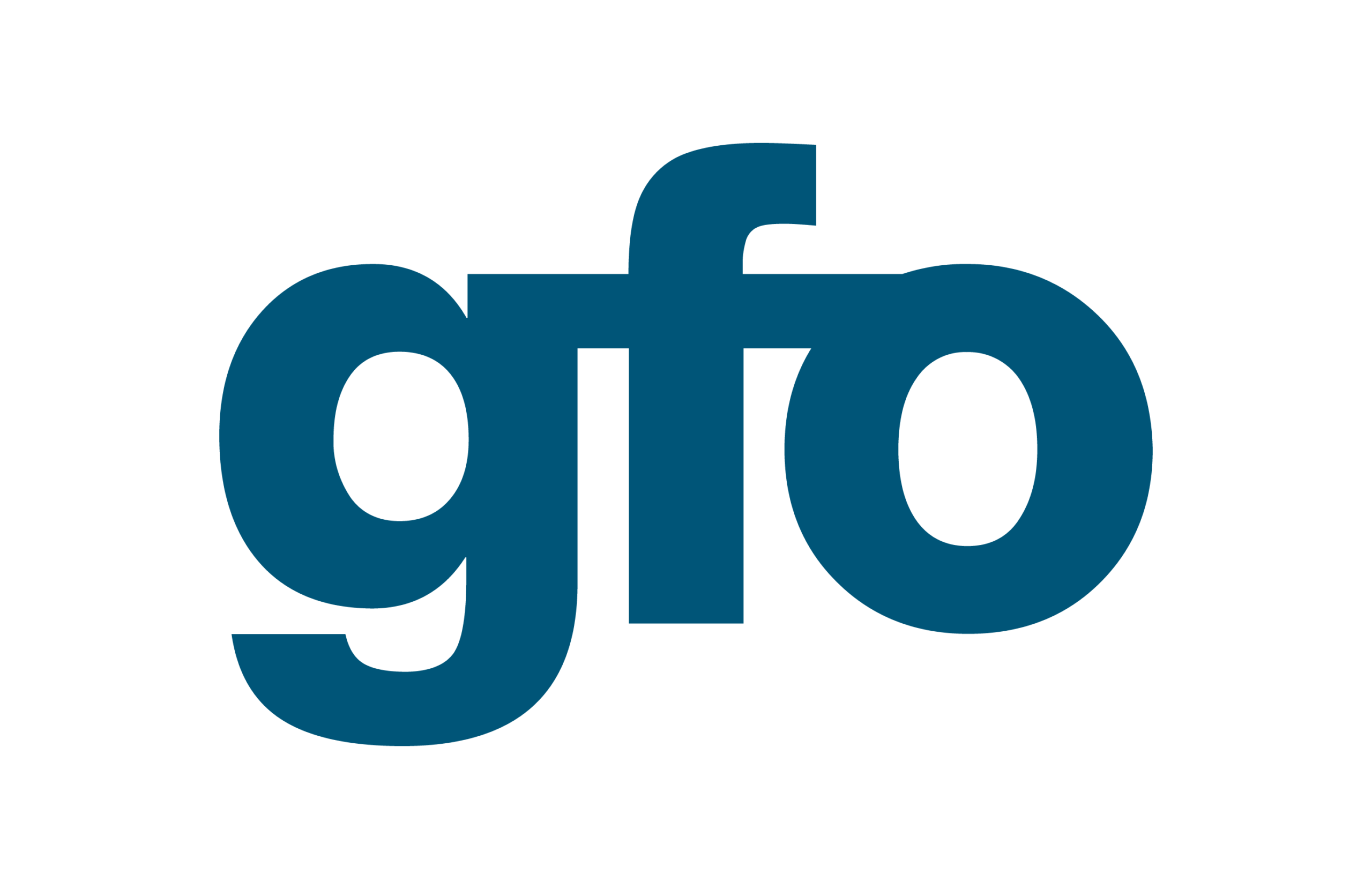 gfo - gesellschaft für organisation e.v.